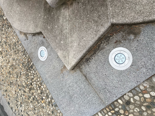 Relamping rotatoria ulivo ornamentale piazza Dante
