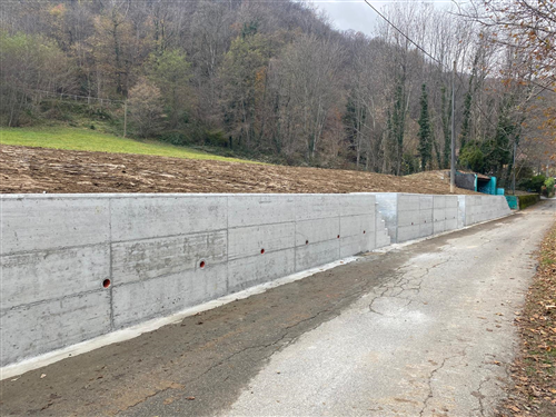 Reg. Pra' D'Aranco demolizione e rifacimento di muro di sostegno