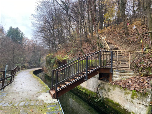 Concluso quarto cantiere 2022: progetto #Gymnasiumland