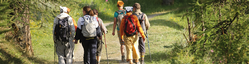 Itinerario Roggia: completamento interventi sentiero gnomi